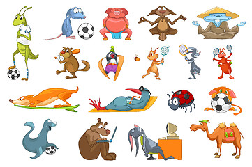 Image showing Vector set of animals sport illustrations.