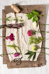 Image showing The flowers on white wooden background