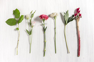 Image showing The flowers on white wooden background