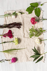 Image showing The flowers on white wooden background