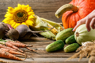 Image showing Vegetables, pumpkin and sunflowers