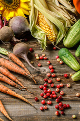 Image showing Scattered cranberry and vegetables