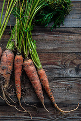 Image showing raw carrots on the ground