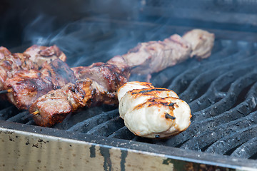 Image showing juicy hot shish kebab on the grill