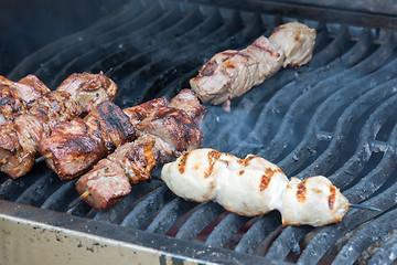 Image showing juicy hot shish kebab on the grill