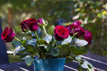 Image showing red roses