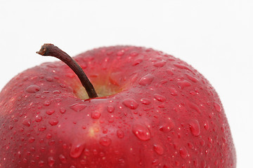 Image showing fancy red apple