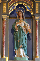 Image showing Immaculate heart of Mary