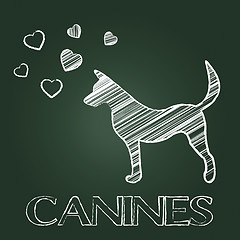 Image showing Canines Word Shows Doggy Pet And Pets