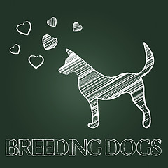 Image showing Breeding Dogs Means Mating Canines And Offspring