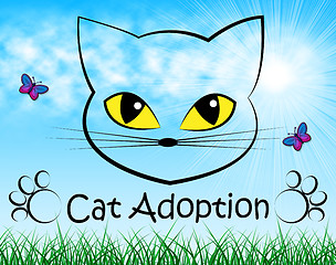 Image showing Cat Adoption Indicates Guardianship Kitty And Adopting