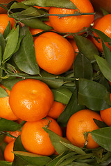 Image showing orange fruits