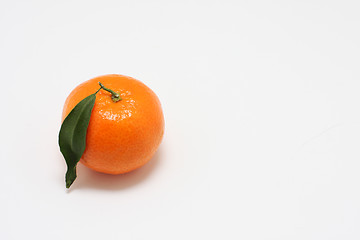 Image showing mandarin on white