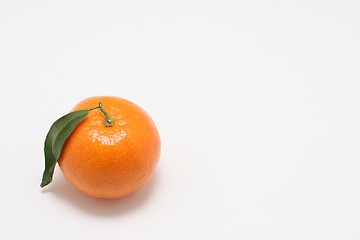 Image showing citrus fruit on white