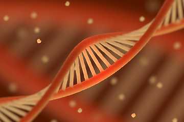 Image showing DNA chain macroshot.