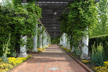 Image showing Garden walk