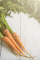 Image showing Freshly grown carrots