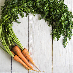 Image showing Freshly grown carrots