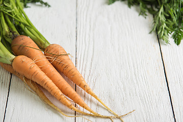 Image showing Freshly grown carrots