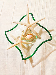 Image showing Glass container wwith starfishes and a shell