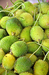 Image showing Raw spiny gourd