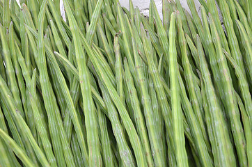 Image showing Drumstick Vegetable or Moringa