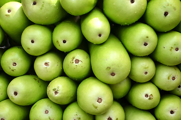 Image showing Raw green Calabash
