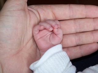 Image showing His Little Hand