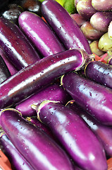 Image showing Raw ripe Eggplant