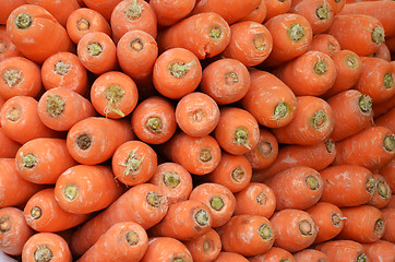 Image showing Raw carrots on display at Vegetable Stall 