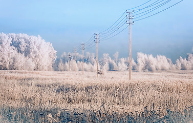 Image showing Power line in the snow covered field