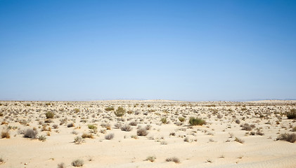 Image showing Rocky Sahara desert in middle Tunisia