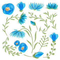 Image showing Watercolor vector floral set