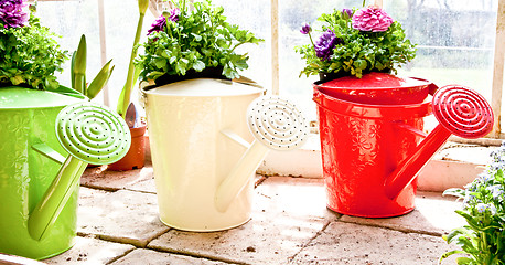 Image showing Garden - Watering can