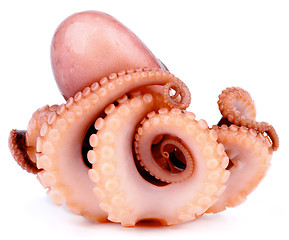 Image showing Big Smoked Octopus