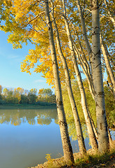 Image showing Sunrise in the autumn forest