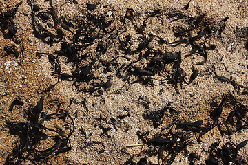 Image showing natural sand