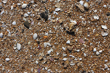 Image showing beach sand