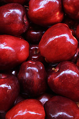 Image showing red apples