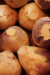 Image showing turnip background