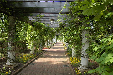 Image showing Spring walkway