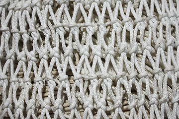 Image showing white netting