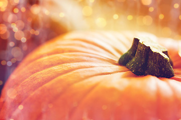 Image showing close up of pumpkins