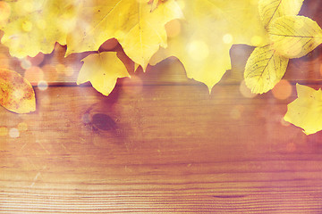 Image showing close up of many different fallen autumn leaves