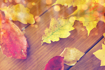 Image showing close up of many different fallen autumn leaves