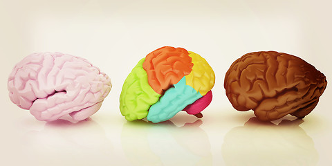 Image showing Human brains. 3D illustration. Vintage style.