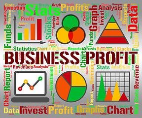 Image showing Business Profit Represents Statistic Earning And Lucrative