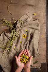 Image showing The florist desktop with working tools and ribbons