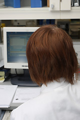 Image showing Doctor working on computer