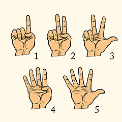 Image showing Set of hand gestures count 1 2 3 4 and 5